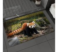 DALEXHM Microfibre Bath Mat, Door Mat, Pet Mat,Bathroom Rug Machine Washable,Non-slip,Super absorbent,Extra Soft,The healing scene of the red panda in the forest,20x31in