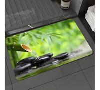 DALEXHM Microfibre Bath Mat, Door Mat, Pet Mat,Bathroom Rug Machine Washable,Non-slip,Super absorbent,Extra Soft,Spa Still Life with Bamboo Fountain and Zen Stone in Water Painting The Pictur,24x39in