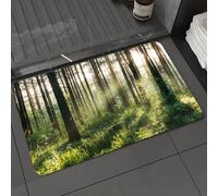 DALEXHM Microfibre Bath Mat, Door Mat, Pet Mat,Bathroom Rug Machine Washable,Non-slip,Super absorbent,Extra Soft,The morning light beams through the emerald forest.,20x31in