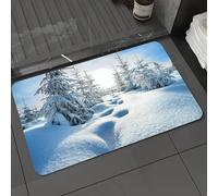 DALEXHM Microfibre Bath Mat, Door Mat, Pet Mat,Bathroom Rug Machine Washable,Non-slip,Super absorbent,Extra Soft,beautiful winter landscape with the forest and blue sky,24x39in