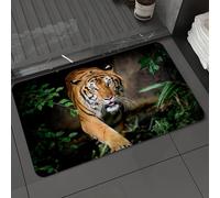 DALEXHM Microfibre Bath Mat, Door Mat, Pet Mat,Bathroom Rug Machine Washable,Non-slip,Super absorbent,Extra Soft,Close Up Portraits of Bengal Tiger.,24x39in