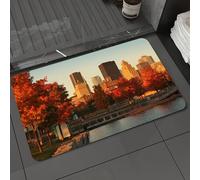 DALEXHM Microfibre Bath Mat, Door Mat, Pet Mat,Bathroom Rug Machine Washable,Non-slip,Super absorbent,Extra Soft,Buildings in the old port of Montreal early in the morning during fall season,24x39in