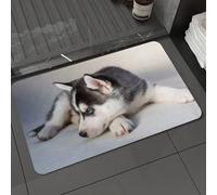 DALEXHM Microfibre Bath Mat, Door Mat, Pet Mat,Bathroom Rug Machine Washable,Non-slip,Super absorbent,Extra Soft,The husky is lying lazily on the ground.,16x24in