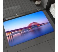 DALEXHM Microfibre Bath Mat, Door Mat, Pet Mat,Bathroom Rug Machine Washable,Non-slip,Super absorbent,Extra Soft,Banghwa bridge and han river in Seoul Korea,24x39in
