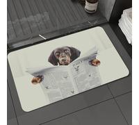 DALEXHM Microfibre Bath Mat, Door Mat, Pet Mat,Bathroom Rug Machine Washable,Non-slip,Super absorbent,Extra Soft,dachshund sausage dog reading a newspaper magazine in bedroom in bed,16x24in