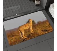 DALEXHM Microfibre Bath Mat, Door Mat, Pet Mat,Bathroom Rug Machine Washable,Non-slip,Super absorbent,Extra Soft,Safari, African Wild Animal Cheetah standing on the termite mound,24x39in