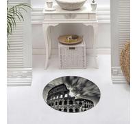 DALEXHM Microfibre Bath Mat, Door Mat, Pet Mat,Bathroom Rug Machine Washable,Non-slip,Super absorbent,Extra Soft,The black and white Roman Colosseum with itswoven light and shadow,24x24in