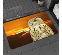 DALEXHM Microfibre Bath Mat, Door Mat, Pet Mat,Bathroom Rug Machine Washable,Non-slip,Super absorbent,Extra Soft,Western Siberian Eagle Owl against sunset and clouds background in the evening,24x39in