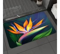 DALEXHM Microfibre Bath Mat, Door Mat, Pet Mat,Bathroom Rug Machine Washable,Non-slip,Super absorbent,Extra Soft,strelitzia bird of paradise exotic flower botanical illustration,20x31in