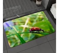 DALEXHM Microfibre Bath Mat, Door Mat, Pet Mat,Bathroom Rug Machine Washable,Non-slip,Super absorbent,Extra Soft,Red-shelled ladybug, a tiny creature in the green grassland,20x31in