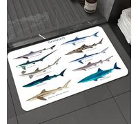 DALEXHM Microfibre Bath Mat, Door Mat, Pet Mat,Bathroom Rug Machine Washable,Non-slip,Super absorbent,Extra Soft,Carpet collection species of sharks bronze whale shark,24x39in