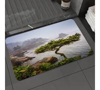 DALEXHM Microfibre Bath Mat, Door Mat, Pet Mat,Bathroom Rug Machine Washable,Non-slip,Super absorbent,Extra Soft,The coastal vegetation scenery shrouded in mist,16x24in