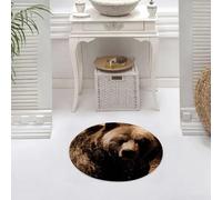 DALEXHM Microfibre Bath Mat, Door Mat, Pet Mat,Bathroom Rug Machine Washable,Non-slip,Super absorbent,Extra Soft,the grizzly or the North American brown bear is a subspecies of brown bear tha,24x24in