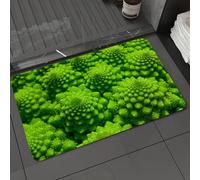 DALEXHM Microfibre Bath Mat, Door Mat, Pet Mat,Bathroom Rug Machine Washable,Non-slip,Super absorbent,Extra Soft,Romanesco broccoli cabbage marco. Nature fractal surface with spital pattern.,24x39in