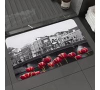 DALEXHM Microfibre Bath Mat, Door Mat, Pet Mat,Bathroom Rug Machine Washable,Non-slip,Super absorbent,Extra Soft,Love Lock Bridge (Staalmeestersbrug) Amsterdam - Best Views,20x31in