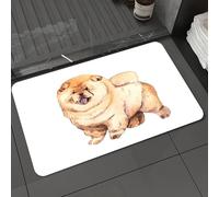 DALEXHM Microfibre Bath Mat, Door Mat, Pet Mat,Bathroom Rug Machine Washable,Non-slip,Super absorbent,Extra Soft,Watercolor illustration of Chow chow dog isolated on white background. funny d,16x24in