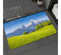 DALEXHM Microfibre Bath Mat, Door Mat, Pet Mat,Bathroom Rug Machine Washable,Non-slip,Super absorbent,Extra Soft,Nature, pasture landscape in Alps with ow and flowers of northern Germans,24x39in