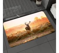 DALEXHM Microfibre Bath Mat, Door Mat, Pet Mat,Bathroom Rug Machine Washable,Non-slip,Super absorbent,Extra Soft,Red Deer in the morning Sun Nature Wild Landscape Rural Field Heathers, M,24x39in