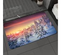 DALEXHM Microfibre Bath Mat, Door Mat, Pet Mat,Bathroom Rug Machine Washable,Non-slip,Super absorbent,Extra Soft,Winter decorations, snowy landscape in the gloomy light,20x31in