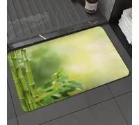 DALEXHM Microfibre Bath Mat, Door Mat, Pet Mat,Bathroom Rug Machine Washable,Non-slip,Super absorbent,Extra Soft,Bamboo, refreshing picture of light green bamboo branches,24x39in