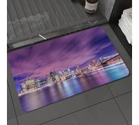 DALEXHM Microfibre Bath Mat, Door Mat, Pet Mat,Bathroom Rug Machine Washable,Non-slip,Super absorbent,Extra Soft,Night Panorama of Manhattan in New York,20x31in