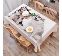DALEXHM Table Cloth Wipe Clean Rectangular, wipeable tablecloths,Dining Table Cover for Kitchen Outdoor Garden Table,Two Husky Dogs Sit Side,Their Expressive Eyes and Open Mouths Full of En,54x72 in