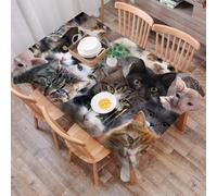 DALEXHM Table Cloth Wipe Clean Rectangular, wipeable tablecloths,Dining Table Cover for Kitchen Outdoor Garden Table,lot of cats of different breeds,54x72 in