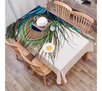 DALEXHM Table Cloth Wipe Clean Rectangular, wipeable tablecloths,Dining Table Cover for Kitchen Outdoor Garden Table,Peacock feathers, exquisite, blue, green and brown eyes of peacock feathe,54x72 in