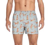 Dallonan Men's Boxer Shorts Men's Underwear Briefs Casual Boxer Breathable Soft American Flag National Flag, Sea Otters Pattern, L