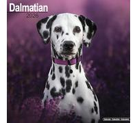 Dalmatian 2026 Calendar | Square Wall Calendar | Dog Breed Gift | Plastic Free Packaging | by Avonside Publishing