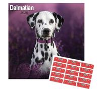 Dalmatian Calendar 2026 | 16 months | with FREE Organisational Stickers, Dalmatian Gift