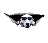 Dalmatian Car Sticker 15 cm (5.9 Inch) Dalmatian Personalised Reflective Sticker 3D Ripped Sticker Pet Dog Funny Car Sticker Dalmatian Car Sticker Funny Decor