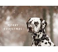 Dalmatian Dog in the Snow Merry Christmas Greetings Card 125mm x 178mm Including Envelope GC475