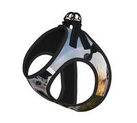 Dalmatian Print Pet Leash Vest Soft Adjustable Step in Puppy Vest Outdoor Walking with Leash