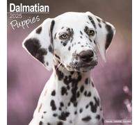 Dalmatian Puppies 2025 Square Wall Calendar | Dog Breed, Puppy Calendar