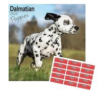Dalmatian Puppies Calendar 2026 with Organisational Stickers, Dalmatian Puppies Gift