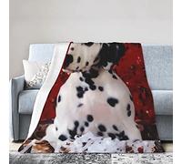 Dalmatian Puppy Soft Micro Flannel Blanket Throw, Warm Cozy Lightweight Decorative Blanket for Sofa Couch Bed, Printed Blanket Gifts for Kids Girls Boys Women Men