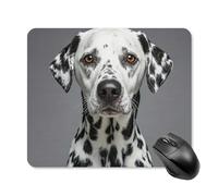 Dalmatian Square Mouse Pad Portable Computer Mousepad with Non-Slip Rubber Base 25 * 30cm Ultra-Thin Gaming Mouse Mat for Computer Laptop Office Desk Accessories