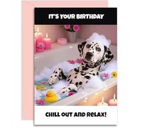 Dalmation Birthday Card - Chill out and Relax - A5 Size with Pink Envelope. Funny Card for her, mum, nan, auntie, sister, daughter. Designed and Printed in the UK