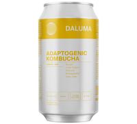 DALUMA - Ginger Gun Adaptogenic Kombucha - Liquid