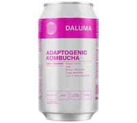 DALUMA - Magic Mushroom Adaptogenic Kombucha - Liquid