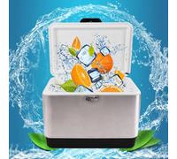 Dalumian Ice Chest Beverage Cooler, Stainless-Steel Cooler, Leakproof Insulated Freezer Box with 2 Handles, Portable 48 Hours Cooling Ice Chest, Small Cool Box for BBQ Camping Travel, Sliver(29L)