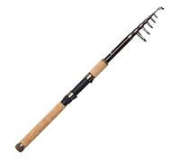 DAM Backbone II Tele 2,4 m 30 - 80 g 7 parts