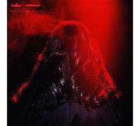 DAM-FUNK - Toeachizown: Hood [VINYL]