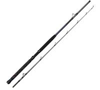 DAM Imax Salt-X Boat Rod 2.10m 20lb/100-300g 2 Sec (70603)