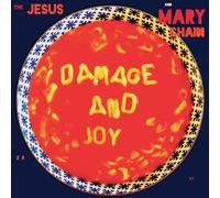 Damage and Joy