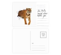 Damage Animal Paper Tigers Cats Postcard Card Important Person Anniversary