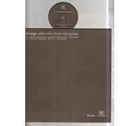 DAMAGE - DAMAGE - AFTER THE LOVE HAS GONE - 12 inch vinyl