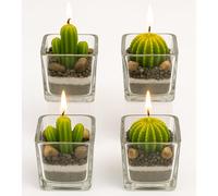 damaloo 4 x Cactus Candles Set in Glass - Set of 4 Cacti Candles Decorative Green - Mini Candle Set - Cactus Candles in Glass - Small Tea Lights in Cactus Shape - Succulent Decoration for Women and