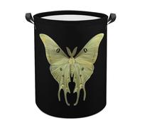 Damask Luna Moth Funny Laundry Baskets Collapsible Waterproof Clothes Hamper Storage Bins with Handles 13.8"x13.8"x17.3" 17.3"x17.3"x17.3"